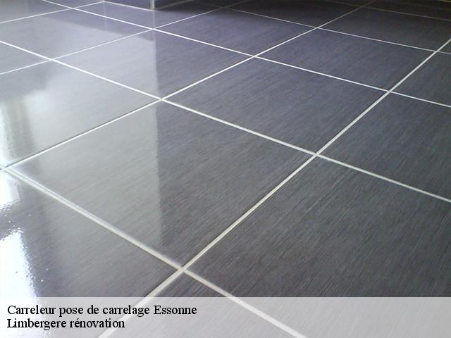 Carreleur pose de carrelage Essonne 