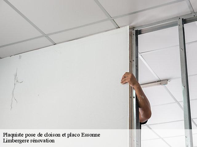 Plaquiste pose de cloison et placo Essonne 