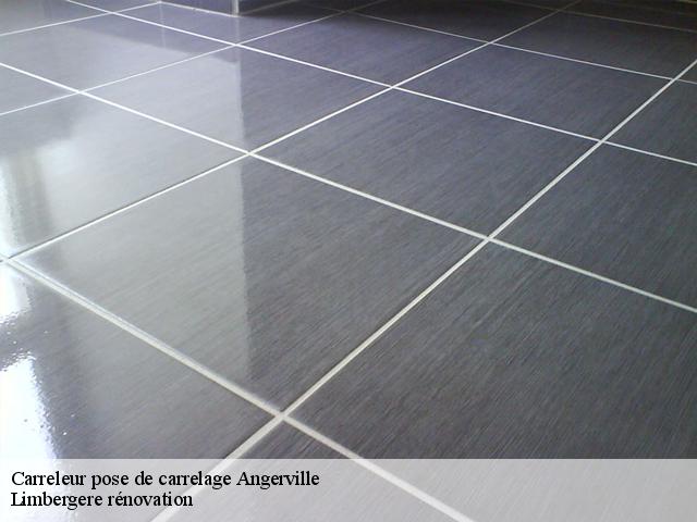 Carreleur pose de carrelage  91670