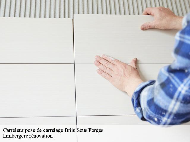 Carreleur pose de carrelage