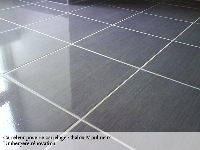 Carreleur pose de carrelage  91740