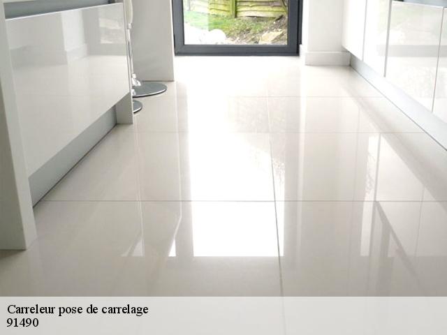 Carreleur pose de carrelage 91490
