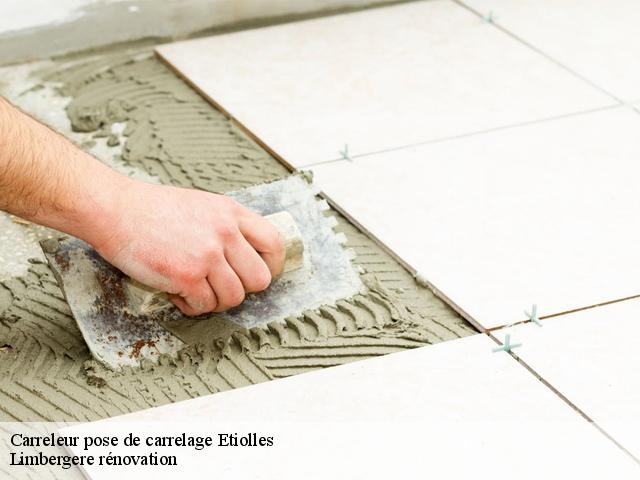 Carreleur pose de carrelage  etiolles-91450 Limbergere rénovation
