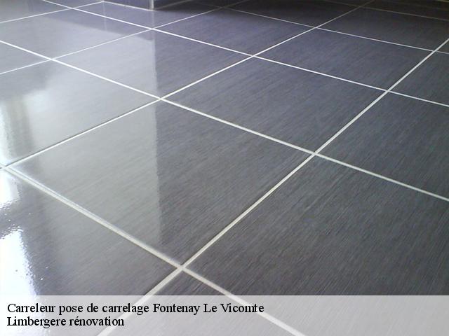 Carreleur pose de carrelage  91540