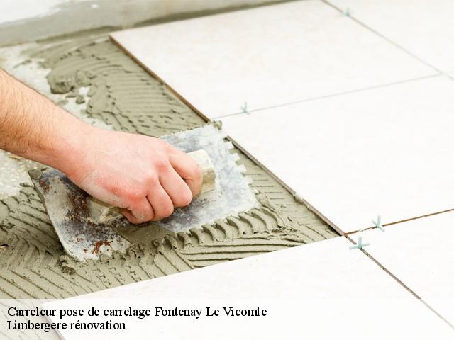 Carreleur pose de carrelage  fontenay-le-vicomte-91540 Limbergere rénovation
