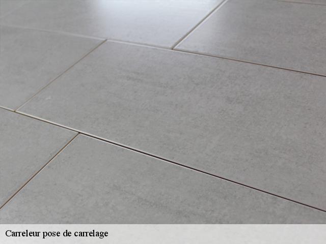 Carreleur pose de carrelage 91630
