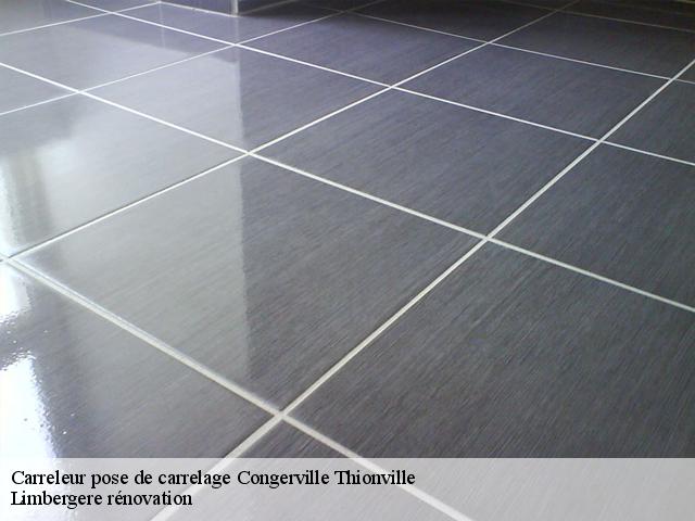 Carreleur pose de carrelage  91740