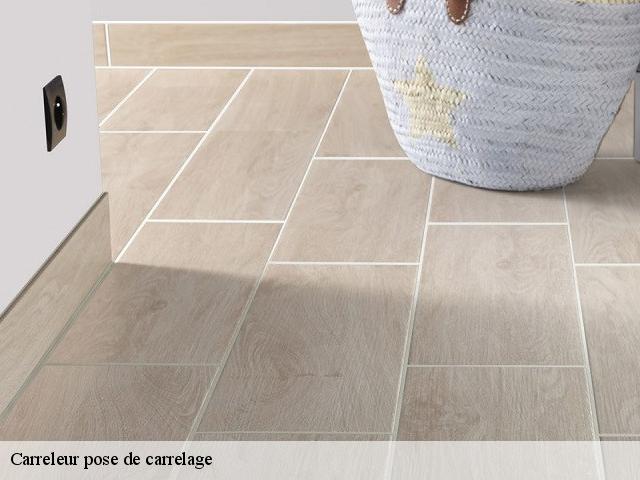 Carreleur pose de carrelage