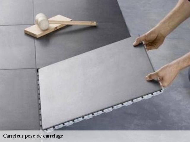 Carreleur pose de carrelage