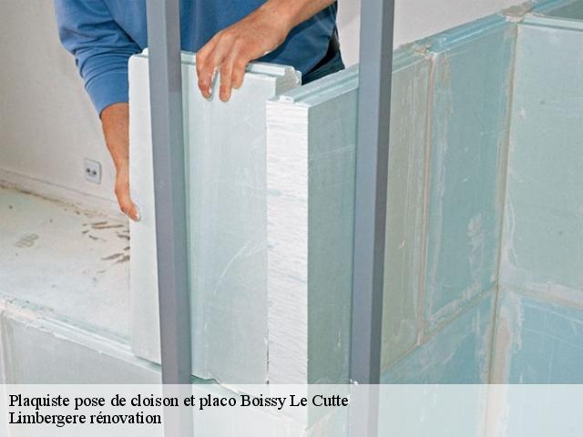 Plaquiste pose de cloison et placo  boissy-le-cutte-91590 Limbergere rénovation