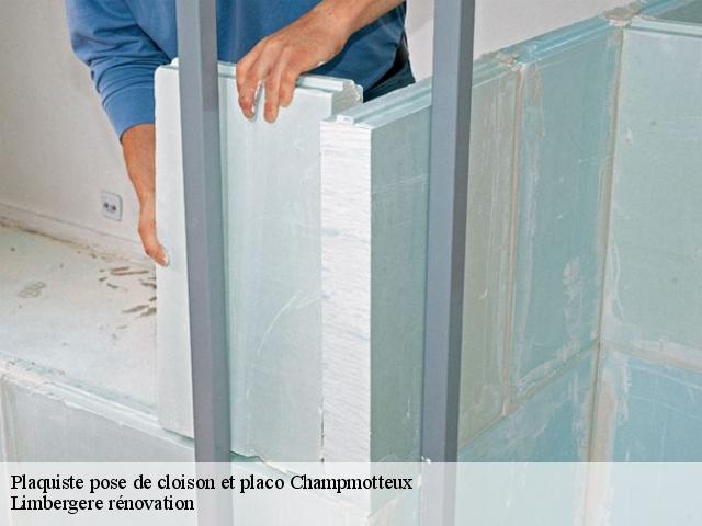 Plaquiste pose de cloison et placo  champmotteux-91150 Limbergere rénovation