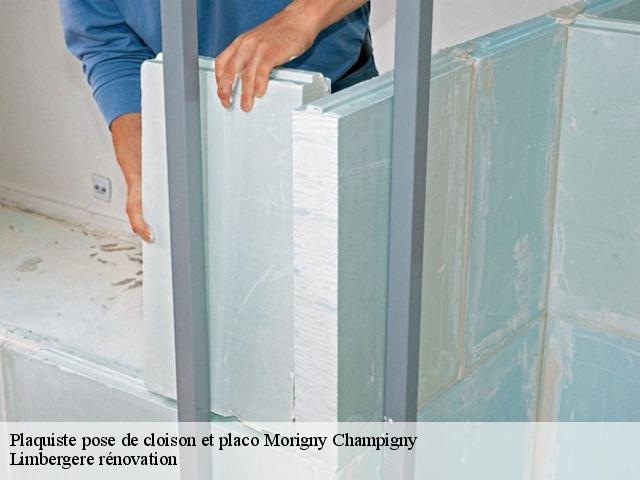 Plaquiste pose de cloison et placo  morigny-champigny-91150 Limbergere rénovation