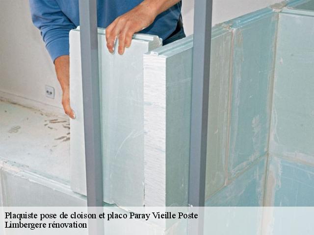 Plaquiste pose de cloison et placo paray-vieille-poste-91550 Limbergere rénovation