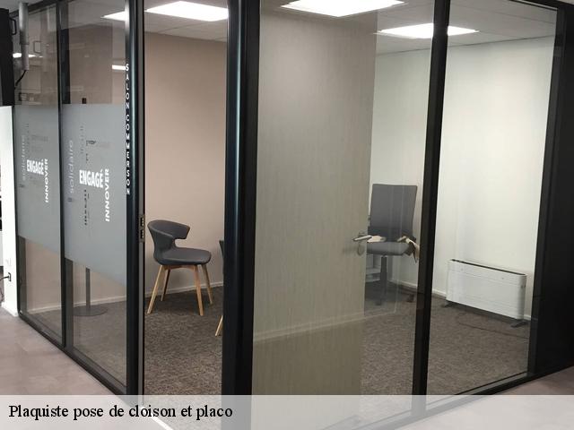 Plaquiste pose de cloison et placo 91620