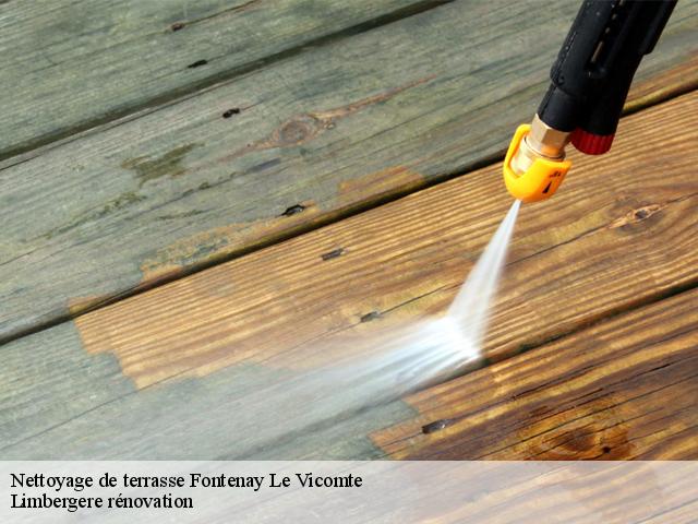 Nettoyage de terrasse  fontenay-le-vicomte-91540 Limbergere rénovation